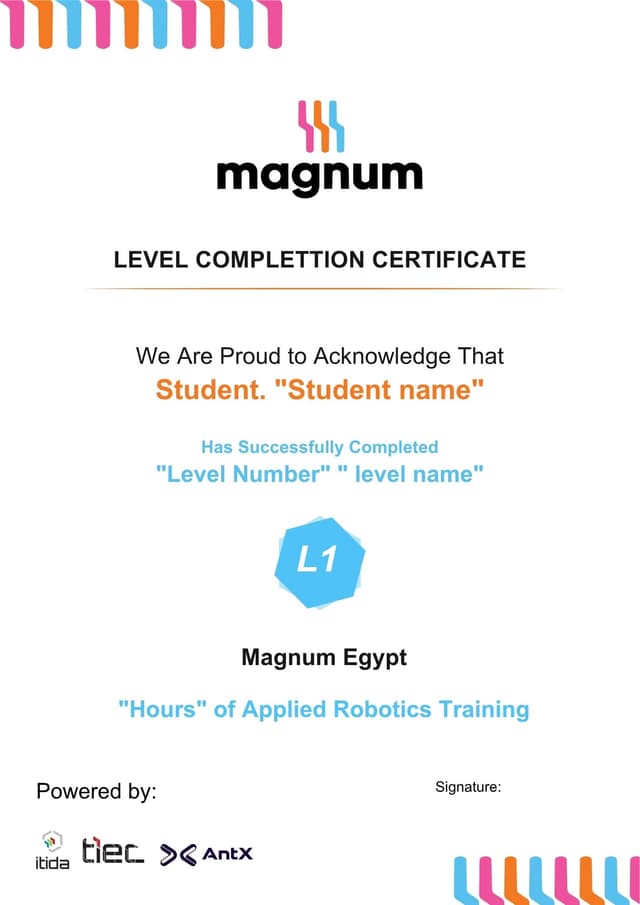 Level Completion Certificate